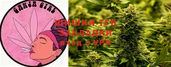 СК Надым