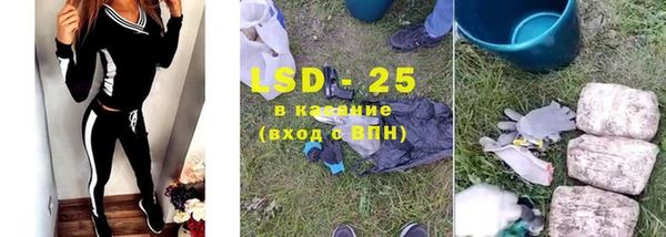 СК Надым