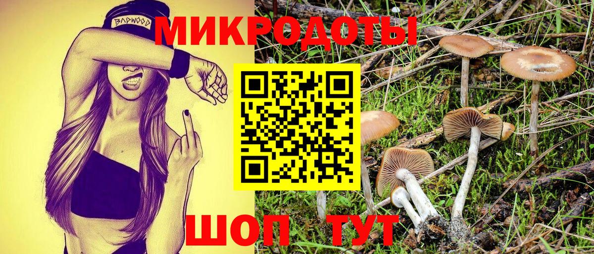 Галлюциногенные грибы Magic Shrooms Великий Новгород