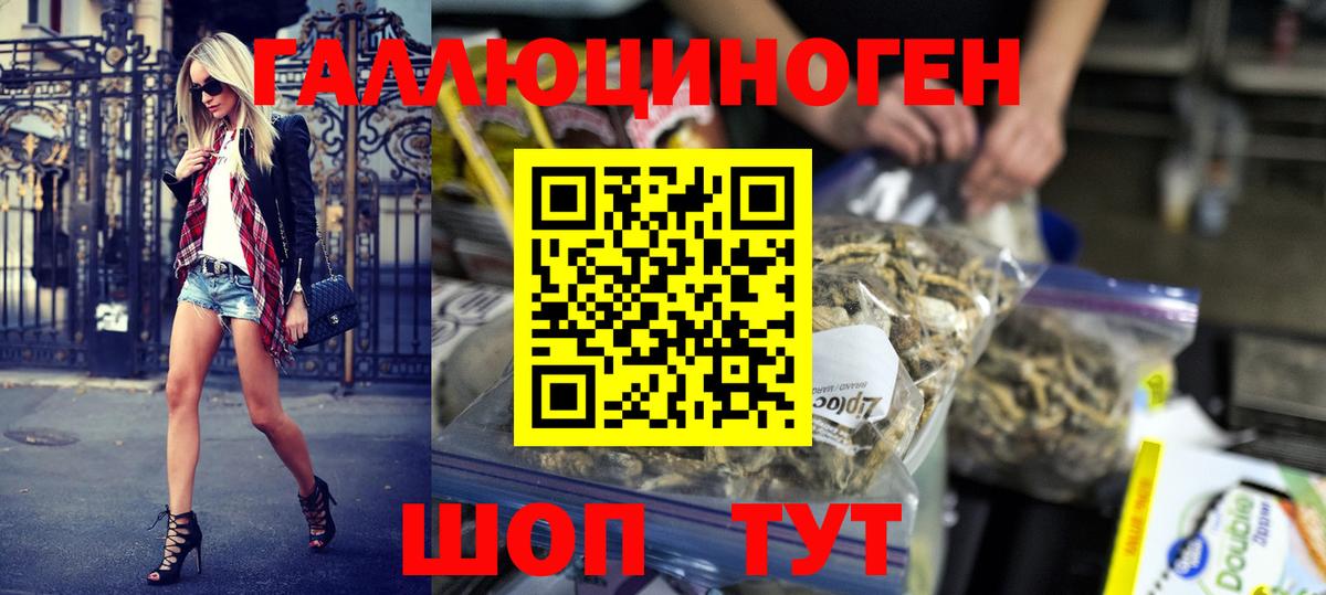 Великий Новгород  Псилоцибиновые грибы мухоморы  Вход с VPN 