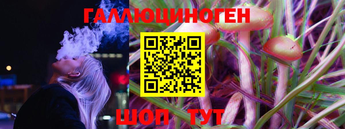 купить закладку  Великий Новгород  Псилоцибиновые грибы MAGIC MUSHROOMS 