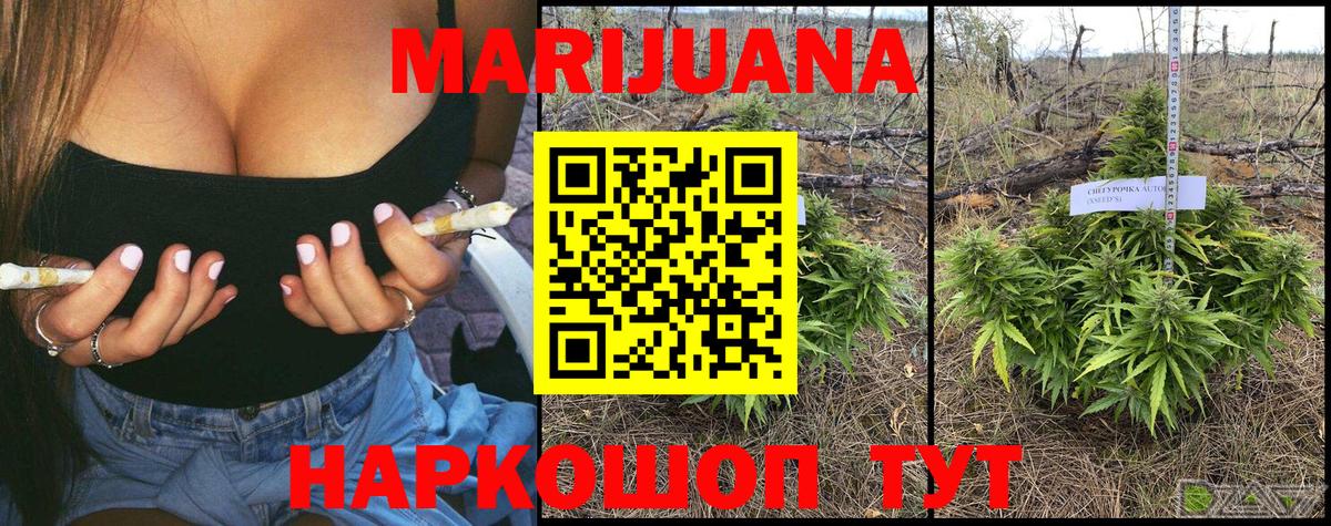 Канабис SATIVA & INDICA  Бошки марихуана план  Бошки Шишки LSD WEED  Великий Новгород 